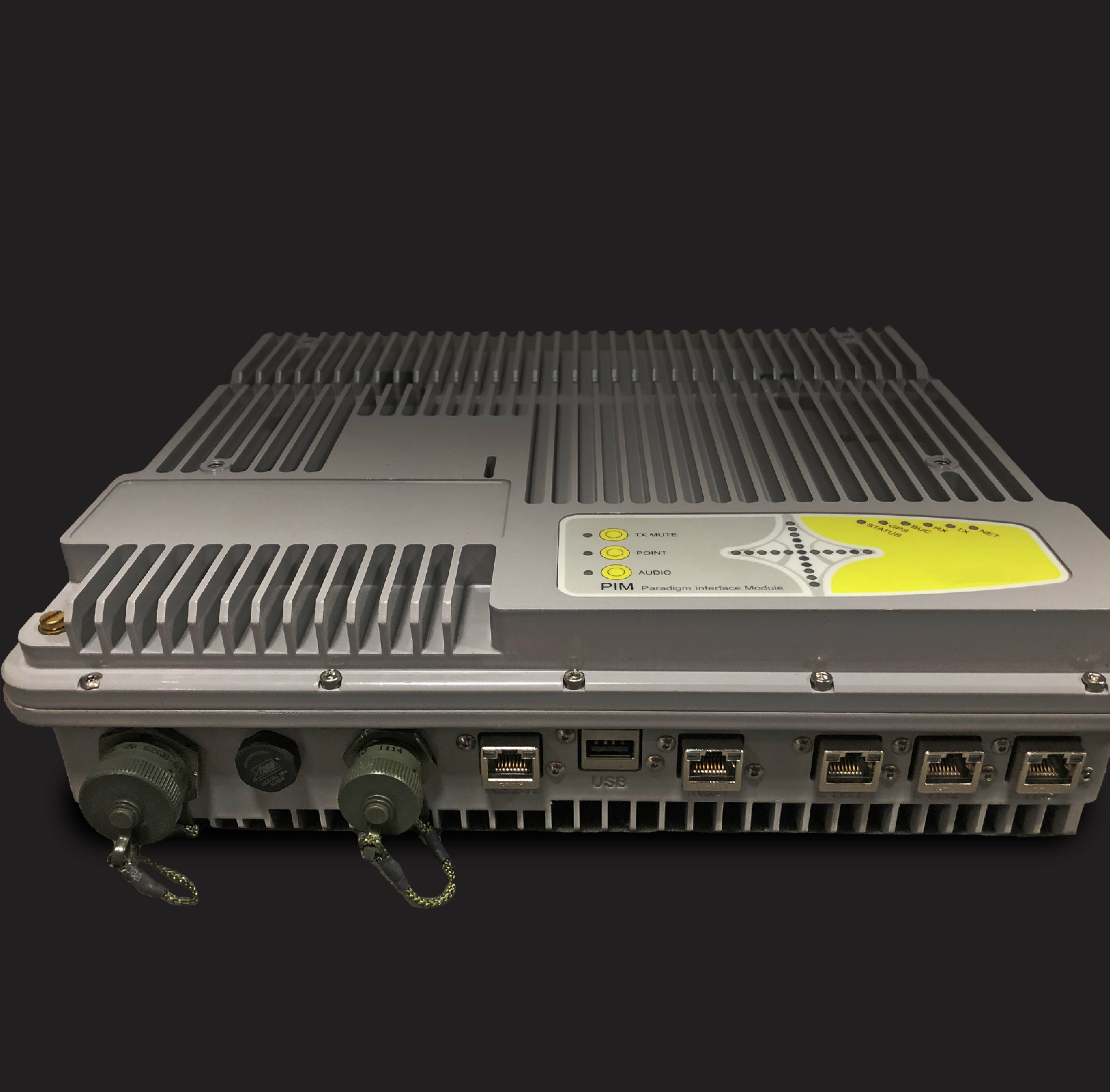 Paradigm Interface Module